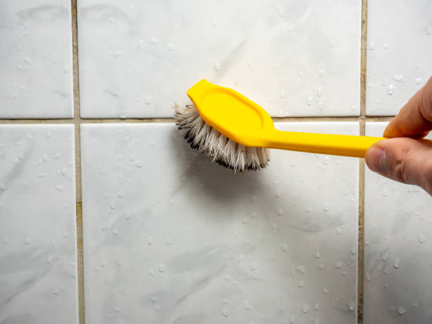 Certified Mold Removal in Jacksonville, NC
