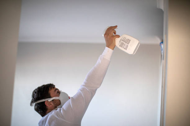 Best Attic Mold Removal  in Jacksonville, NC