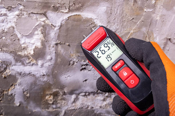 Best Crawl Space Mold Removal  in Jacksonville, NC