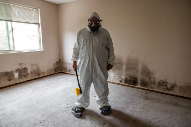 Jacksonville, NC Mold Removal Company